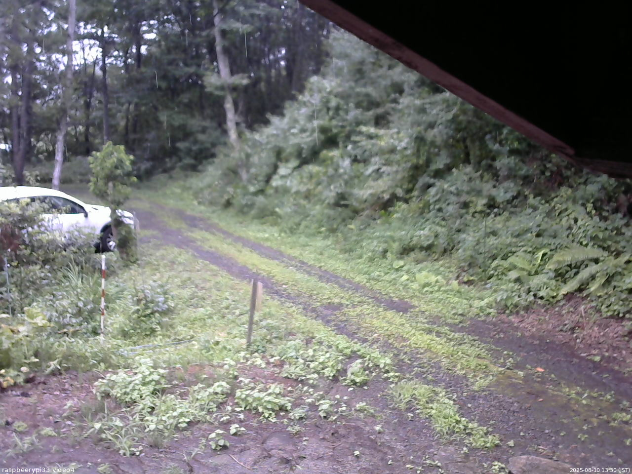長野県菅平高原 ゆたか山荘 東側(坂下) 2025/08/10 13:30