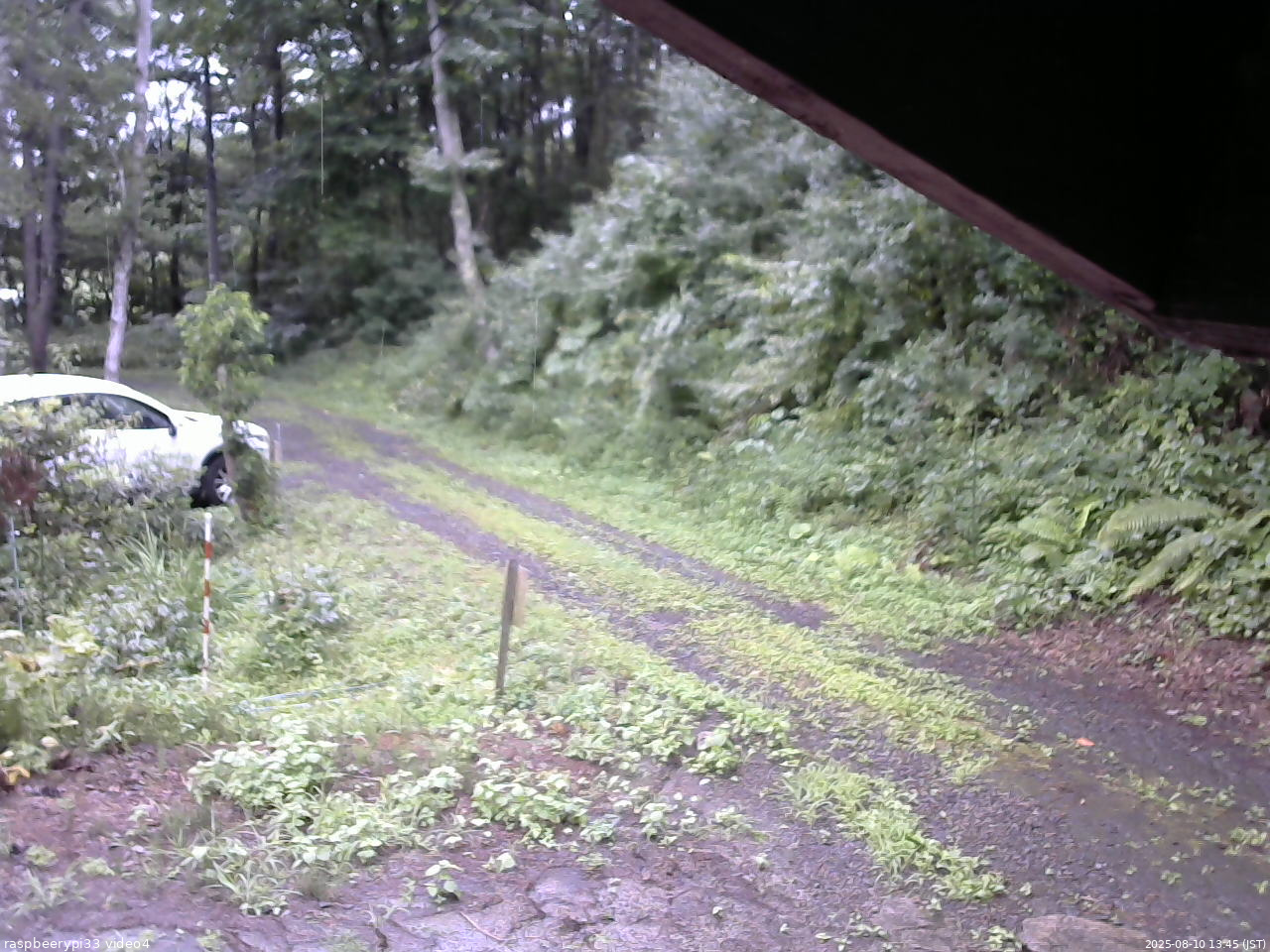長野県菅平高原 ゆたか山荘 東側(坂下) 2025/08/10 13:45