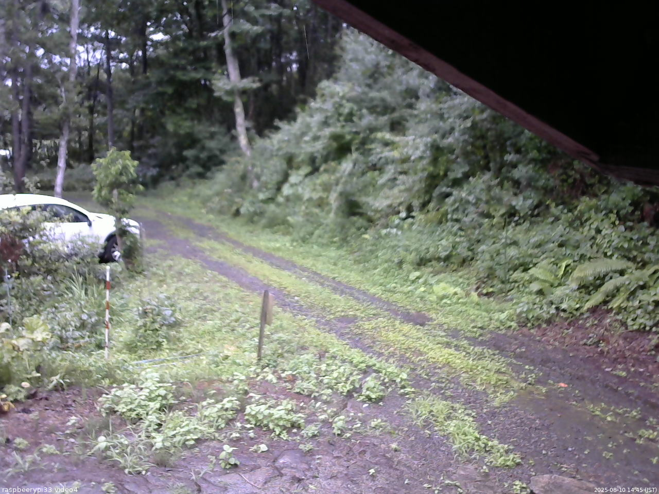 長野県菅平高原 ゆたか山荘 東側(坂下) 2025/08/10 14:45