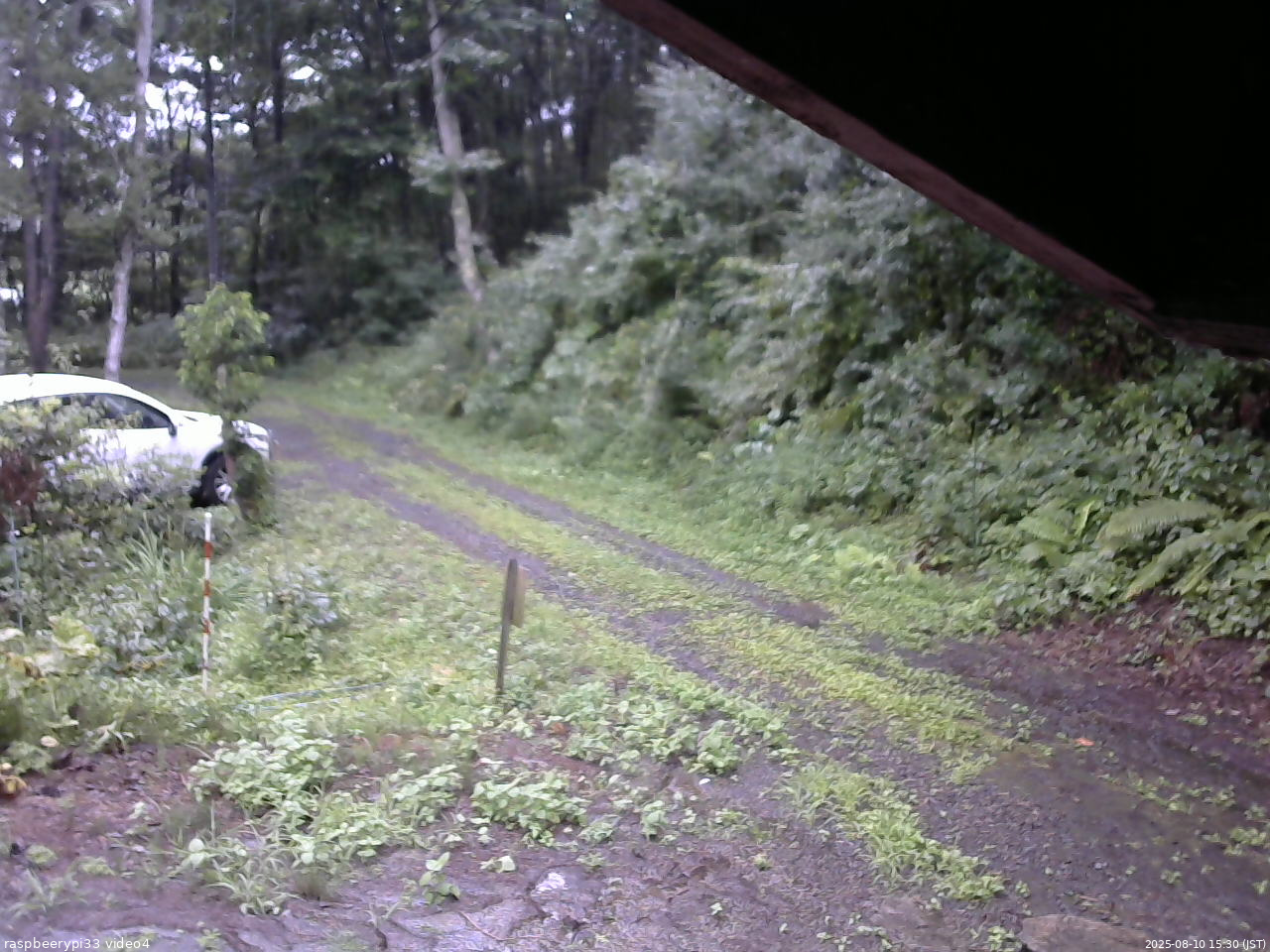長野県菅平高原 ゆたか山荘 東側(坂下) 2025/08/10 15:30