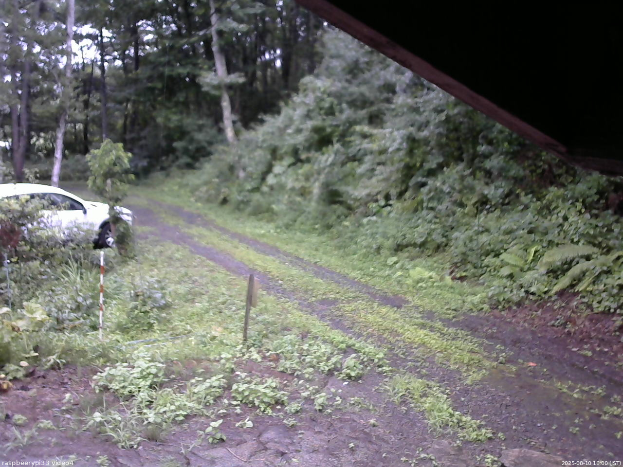 長野県菅平高原 ゆたか山荘 東側(坂下) 2025/08/10 16:00