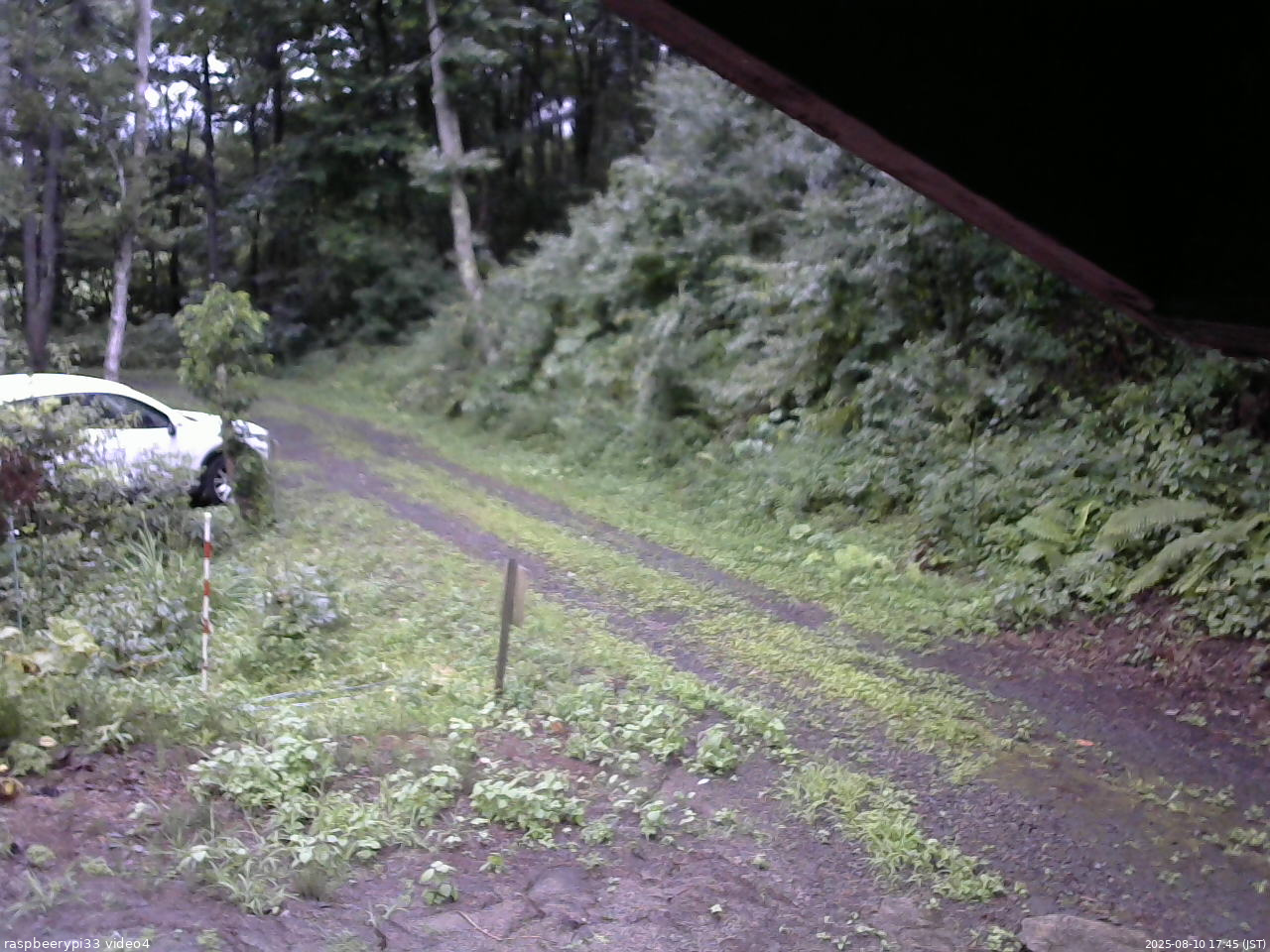 長野県菅平高原 ゆたか山荘 東側(坂下) 2025/08/10 17:45