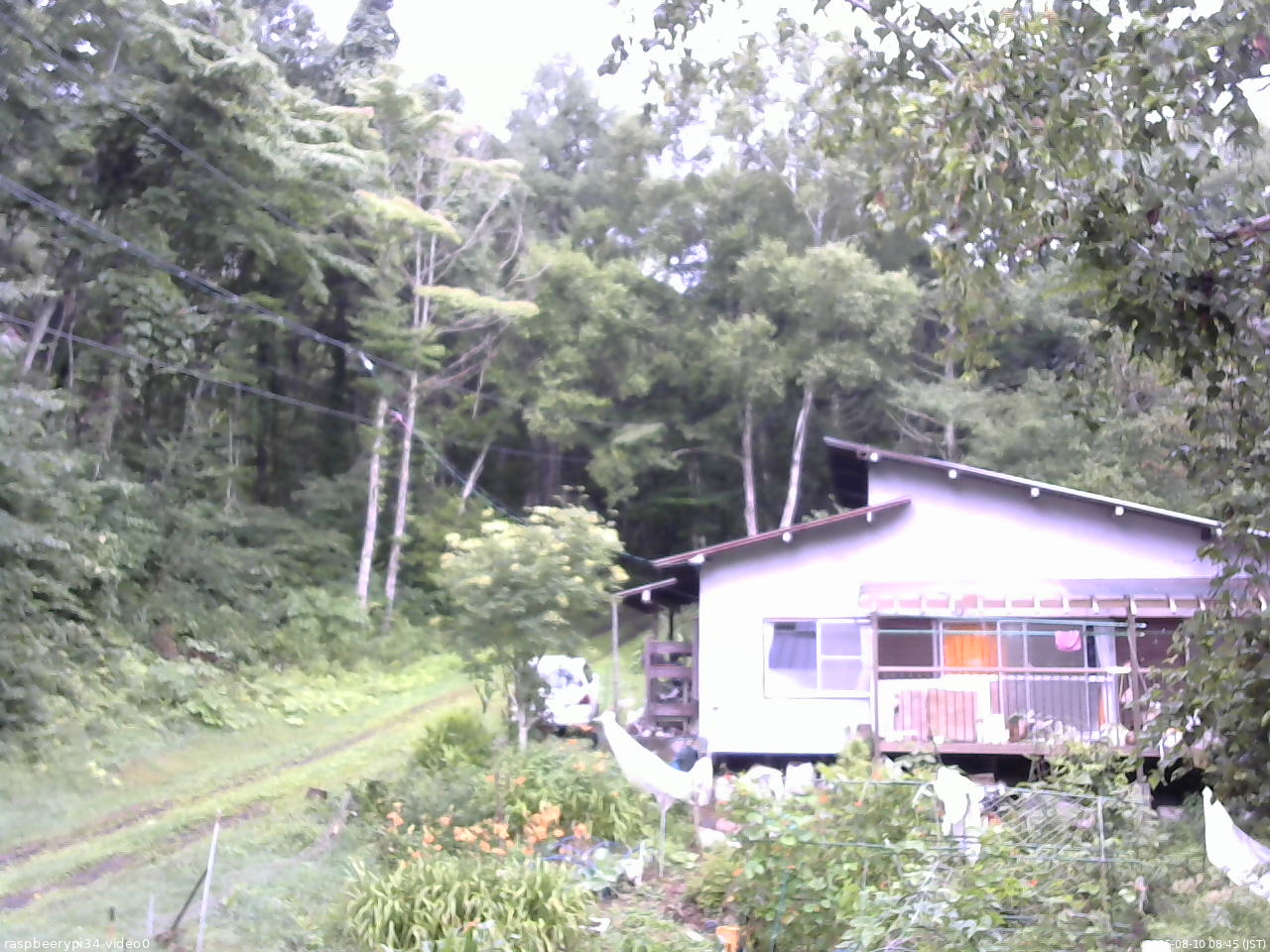 長野県菅平高原 ゆたか山荘 西側(坂上) 2025/08/10 08:45