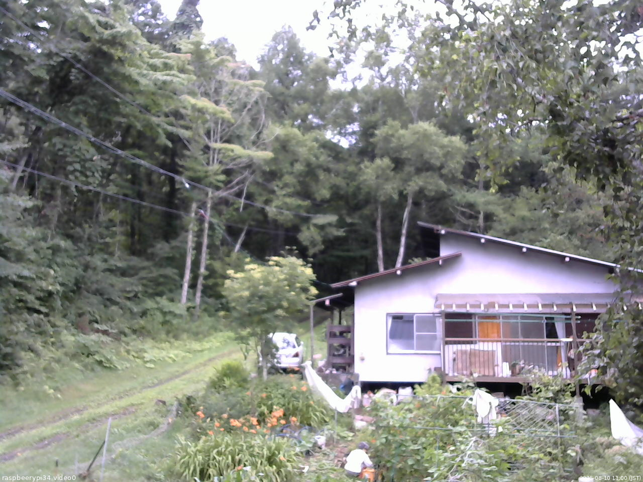 長野県菅平高原 ゆたか山荘 西側(坂上) 2025/08/10 11:00