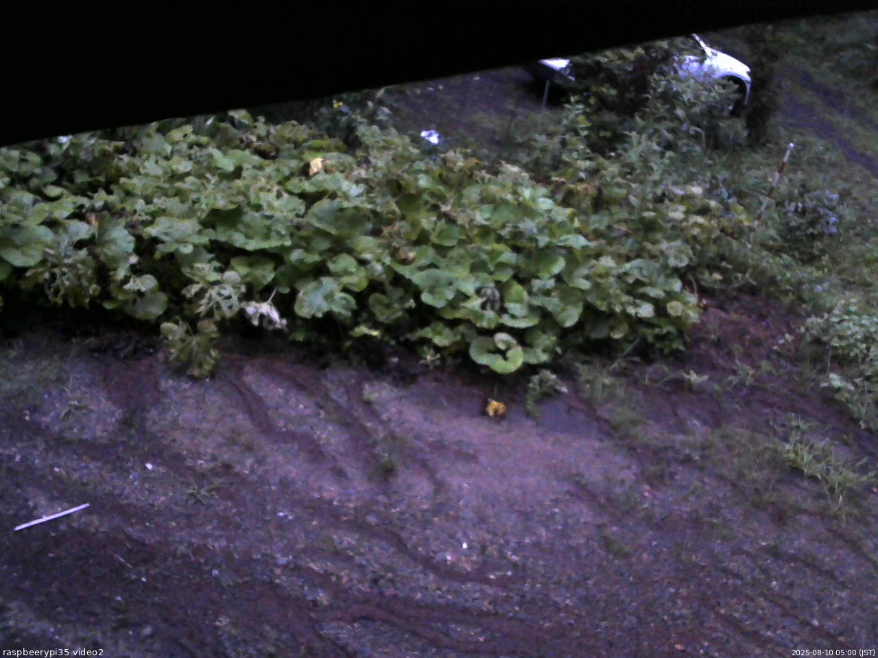 長野県菅平高原 ゆたか山荘 駐車場 2025/08/10 05:00