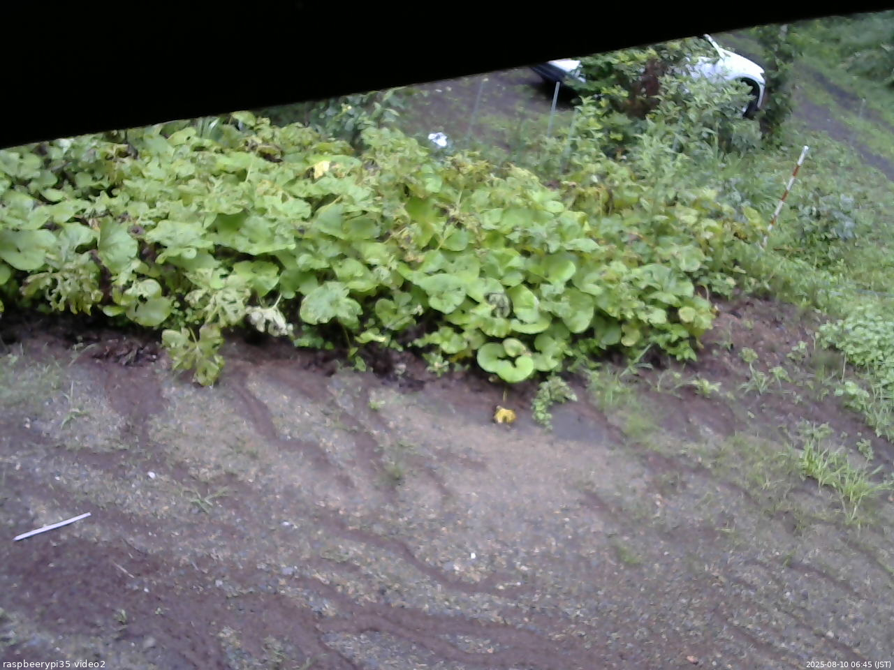 長野県菅平高原 ゆたか山荘 駐車場 2025/08/10 06:45