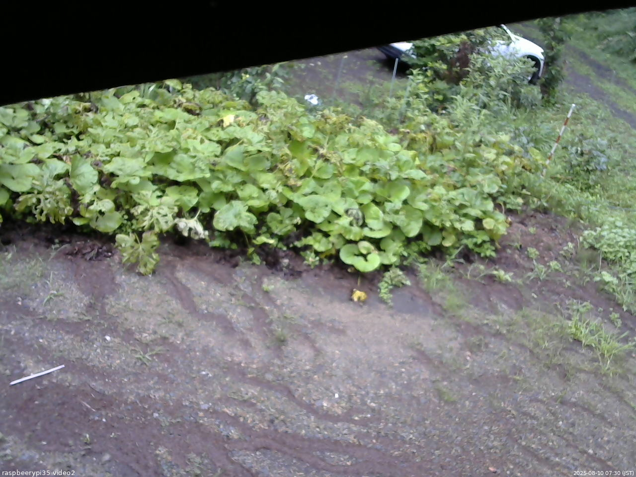 長野県菅平高原 ゆたか山荘 駐車場 2025/08/10 07:30