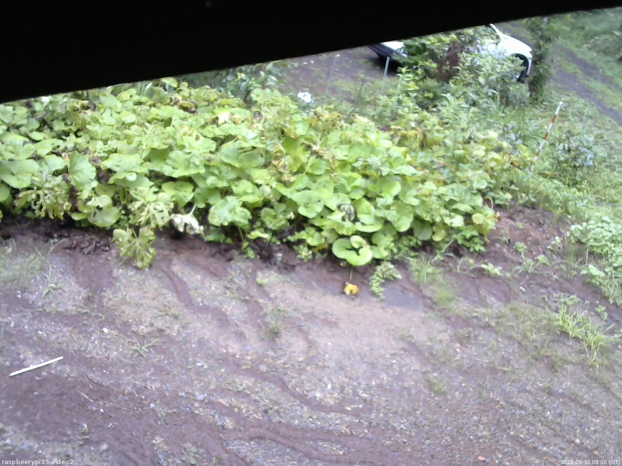 長野県菅平高原 ゆたか山荘 駐車場 2025/08/10 08:00