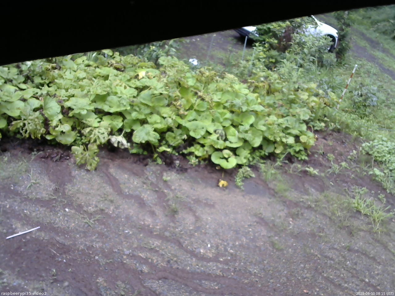 長野県菅平高原 ゆたか山荘 駐車場 2025/08/10 08:15