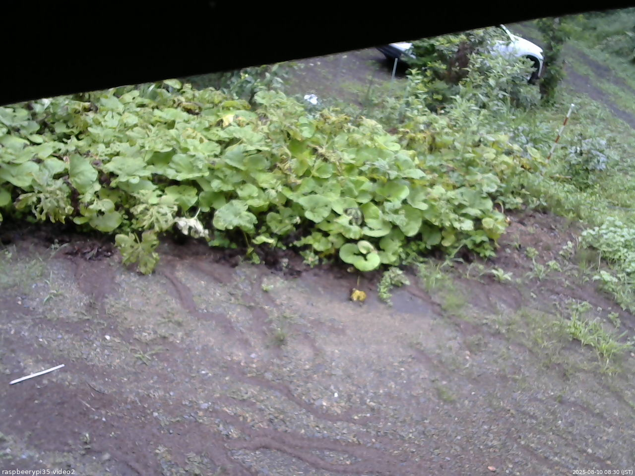 長野県菅平高原 ゆたか山荘 駐車場 2025/08/10 08:30