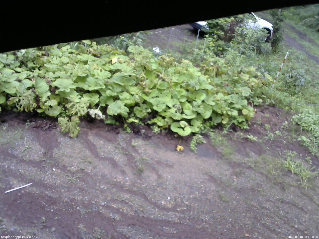 長野県菅平高原 ゆたか山荘 駐車場 2025/08/10 08:45