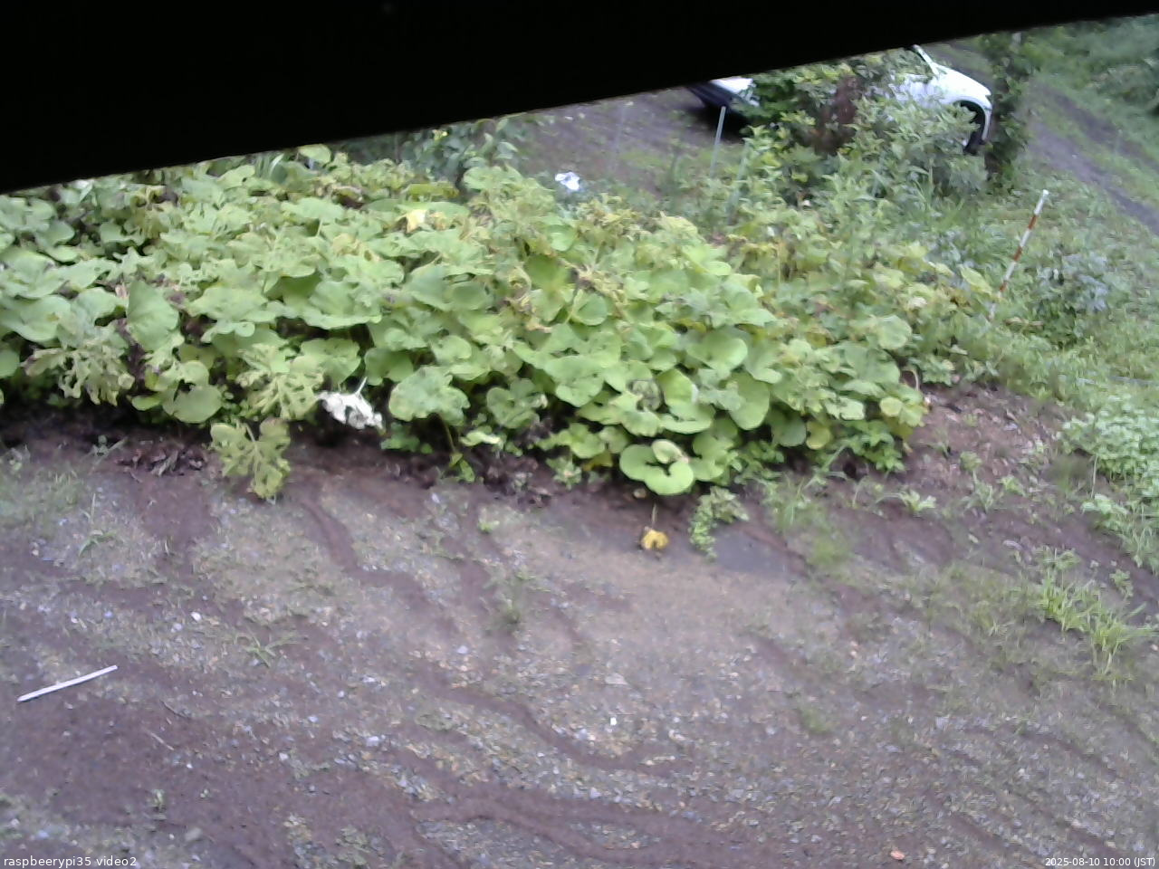 長野県菅平高原 ゆたか山荘 駐車場 2025/08/10 10:00