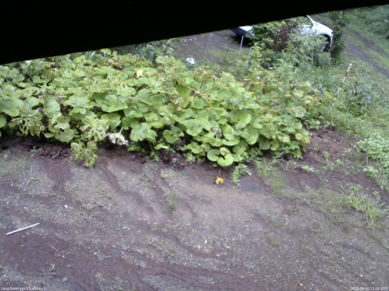 長野県菅平高原 ゆたか山荘 駐車場 2025/08/10 11:00