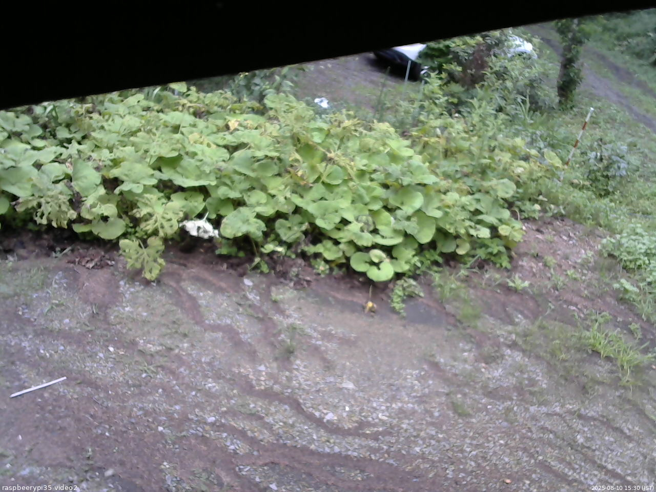 長野県菅平高原 ゆたか山荘 駐車場 2025/08/10 15:30