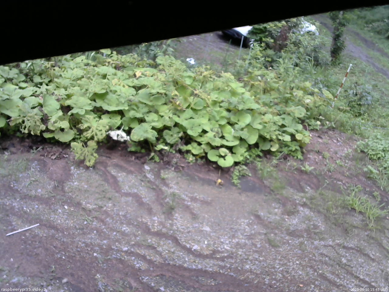 長野県菅平高原 ゆたか山荘 駐車場 2025/08/10 15:45