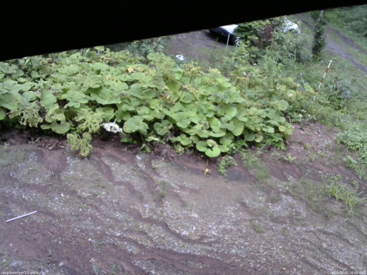 長野県菅平高原 ゆたか山荘 駐車場 2025/08/10 16:00