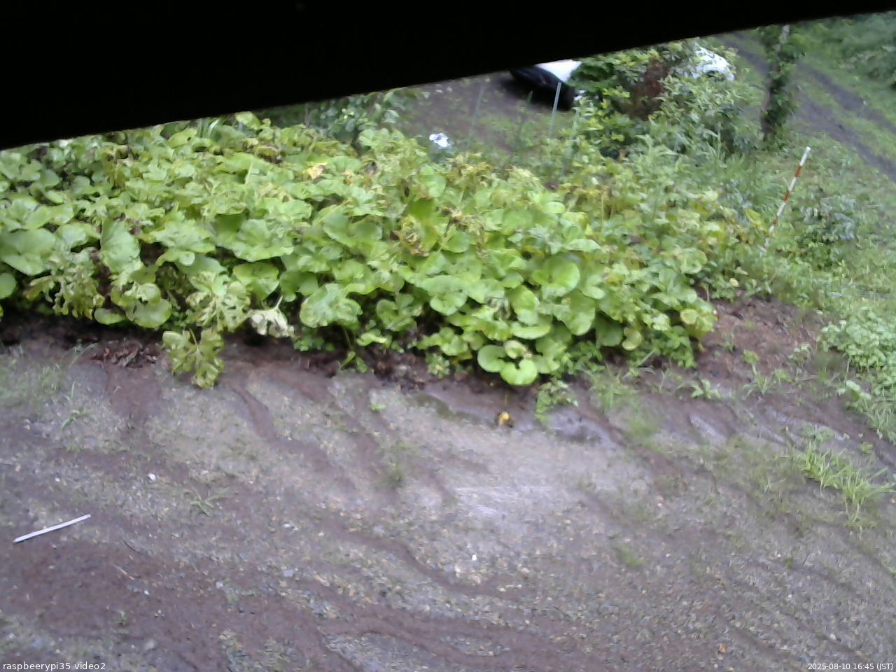 長野県菅平高原 ゆたか山荘 駐車場 2025/08/10 16:45