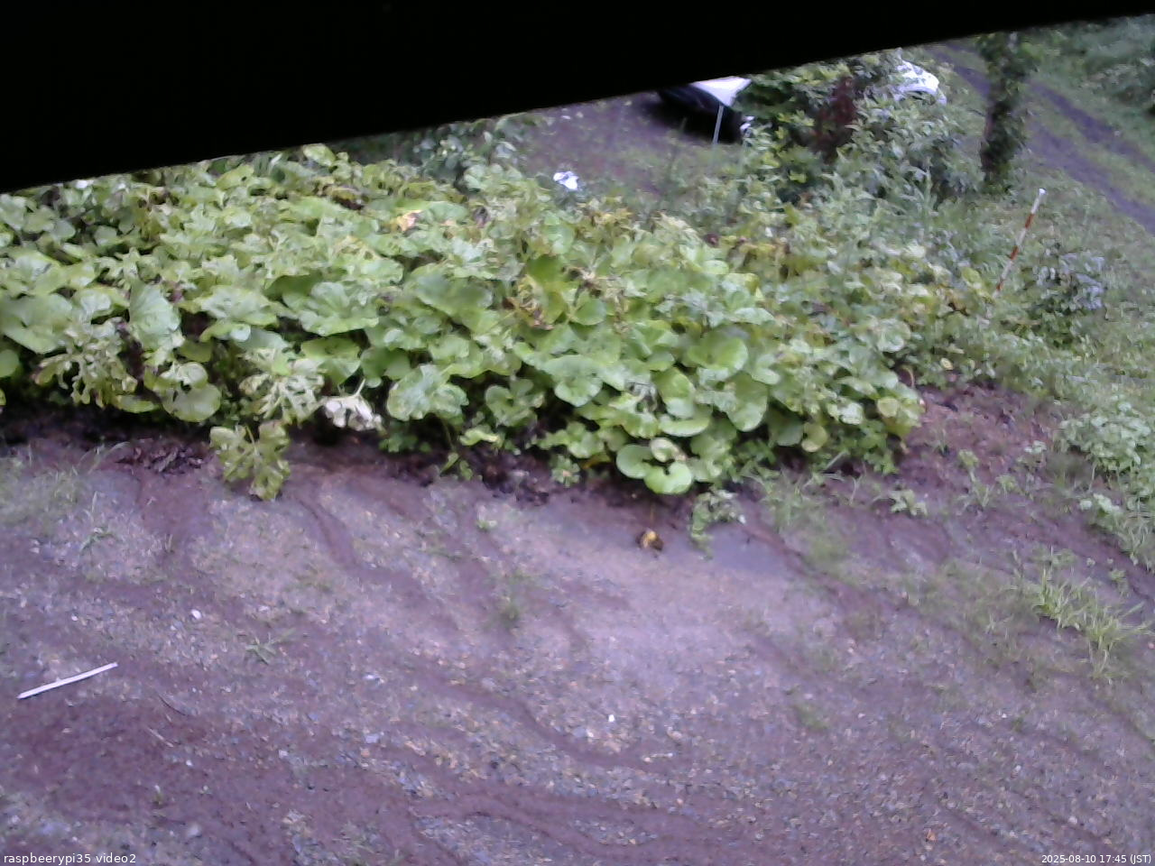 長野県菅平高原 ゆたか山荘 駐車場 2025/08/10 17:45
