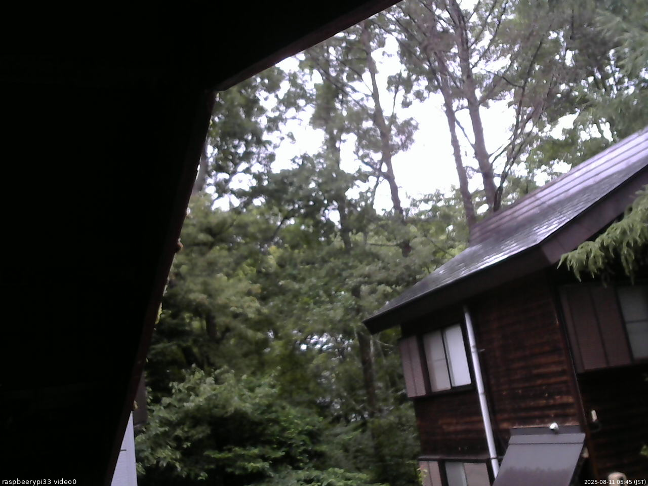長野県菅平高原 ゆたか山荘 北側 2025/08/11 05:45