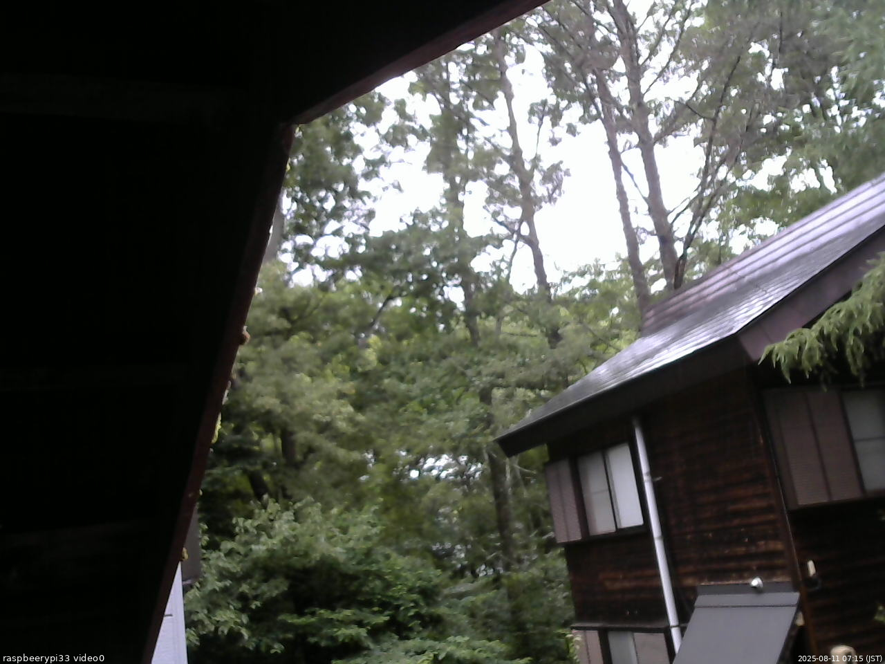 長野県菅平高原 ゆたか山荘 北側 2025/08/11 07:15