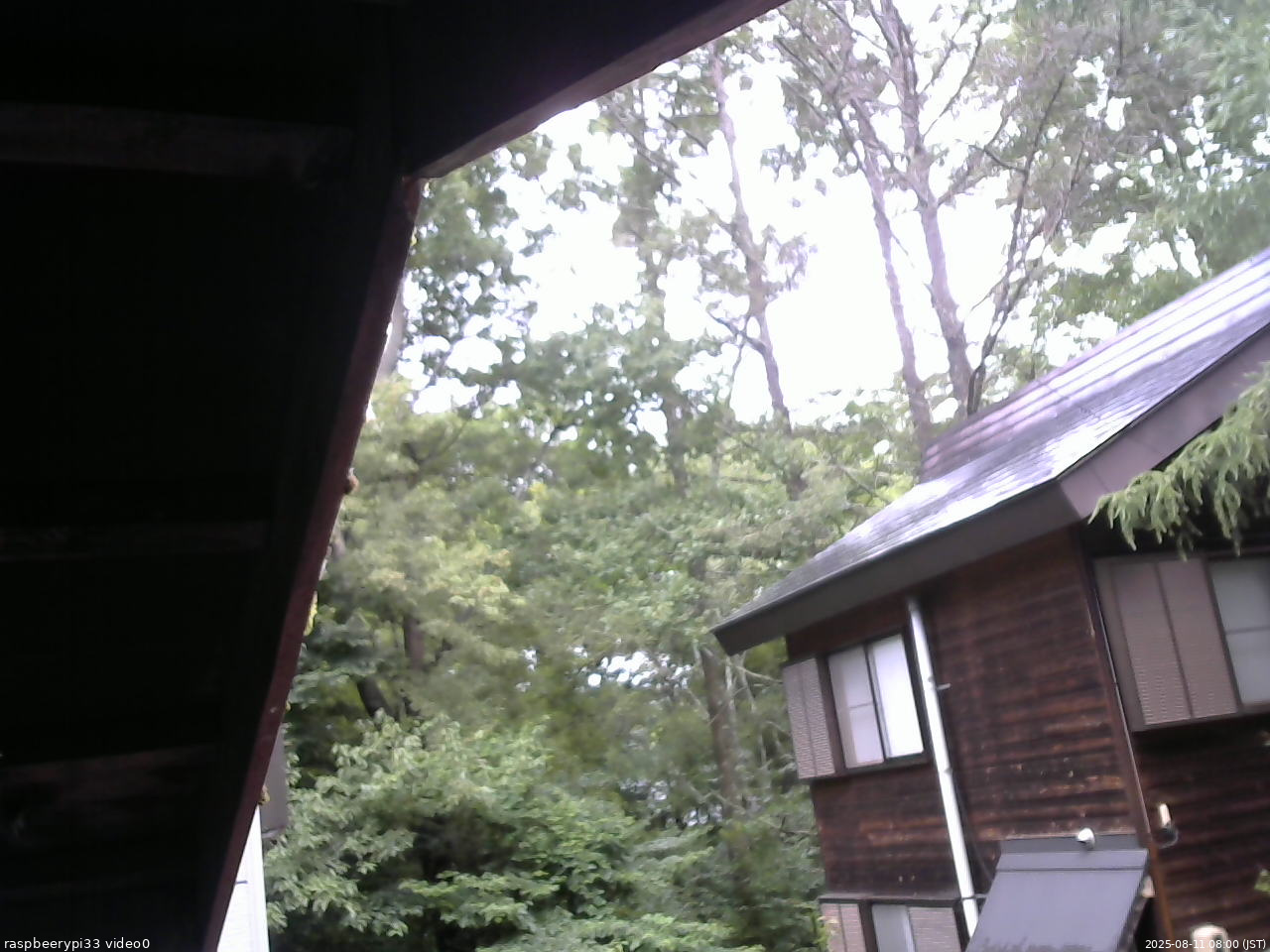 長野県菅平高原 ゆたか山荘 北側 2025/08/11 08:00