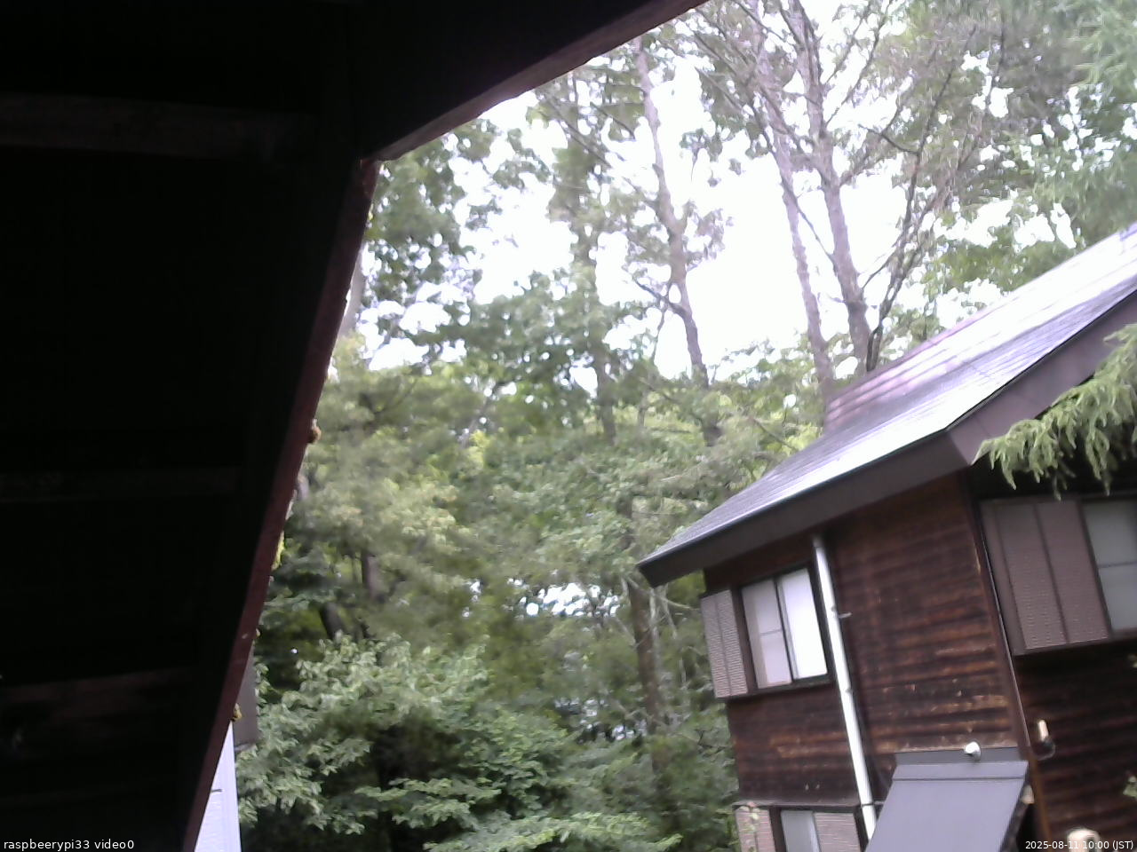 長野県菅平高原 ゆたか山荘 北側 2025/08/11 10:00