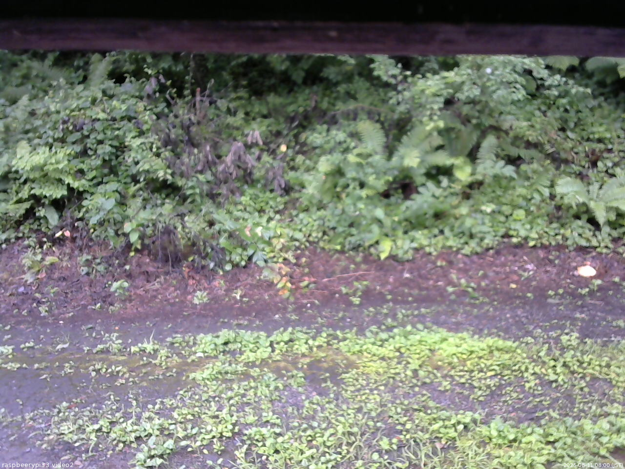 長野県菅平高原 ゆたか山荘 南側 2025/08/11 08:00