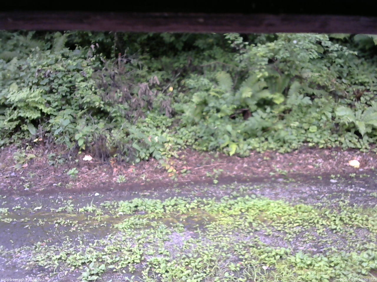 長野県菅平高原 ゆたか山荘 南側 2025/08/11 10:00