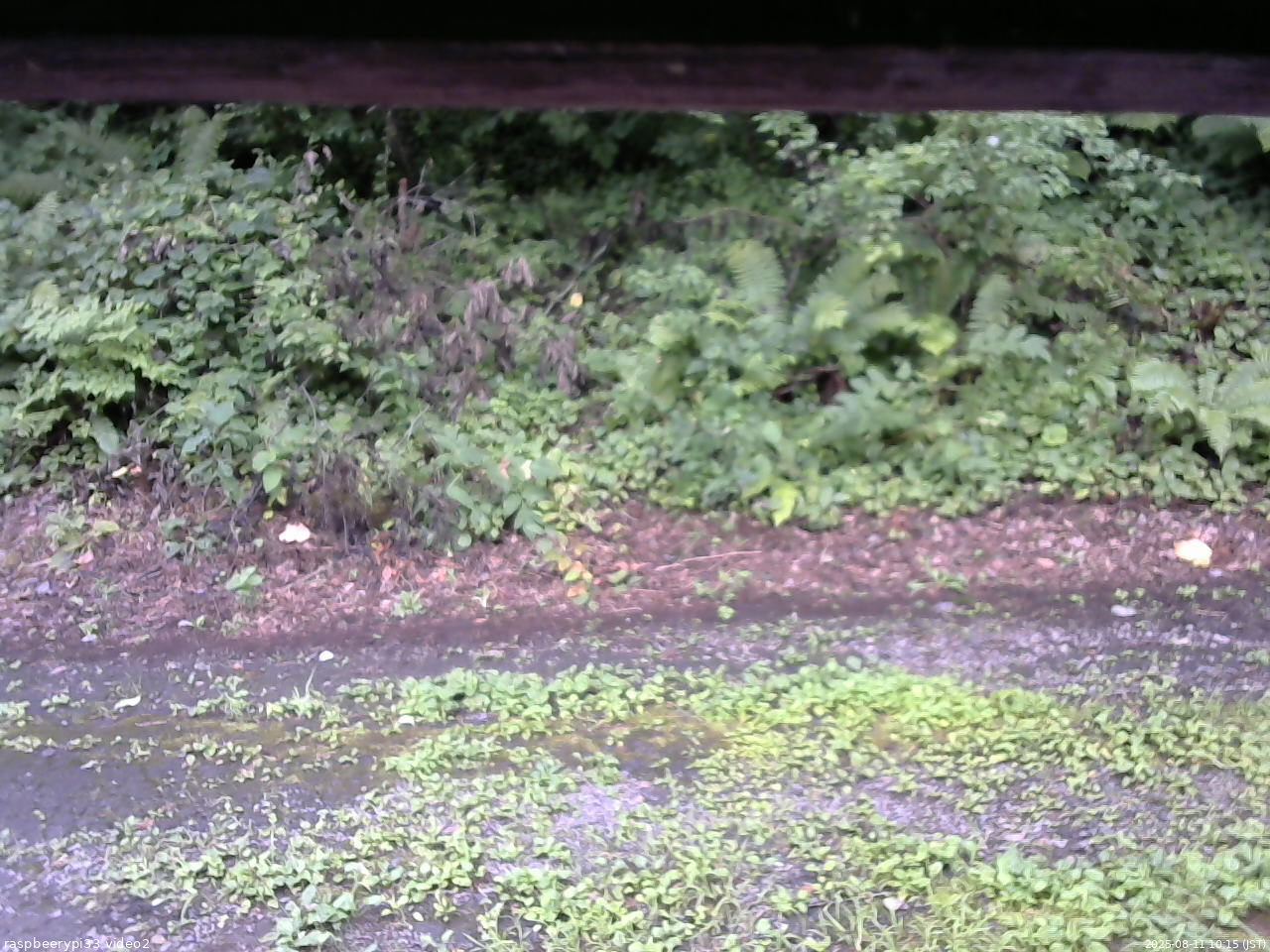 長野県菅平高原 ゆたか山荘 南側 2025/08/11 10:15