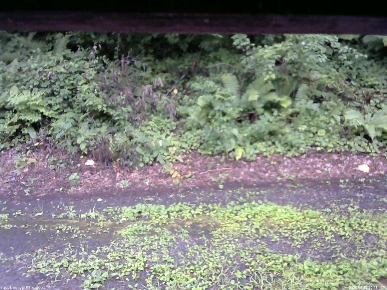 長野県菅平高原 ゆたか山荘 南側 2025/08/11 10:45