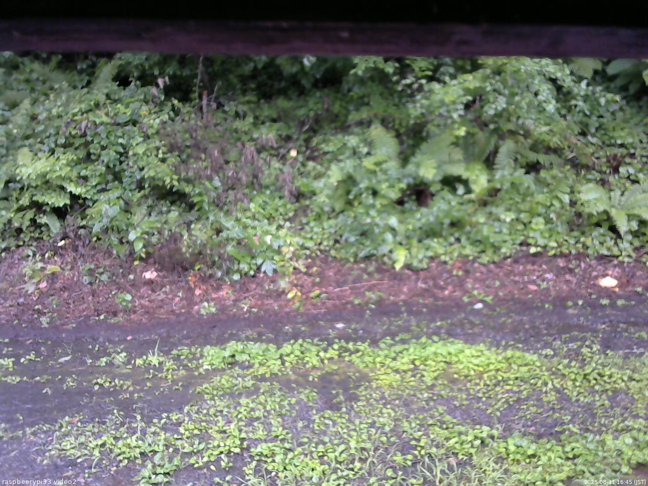 長野県菅平高原 ゆたか山荘 南側 2025/08/11 16:45