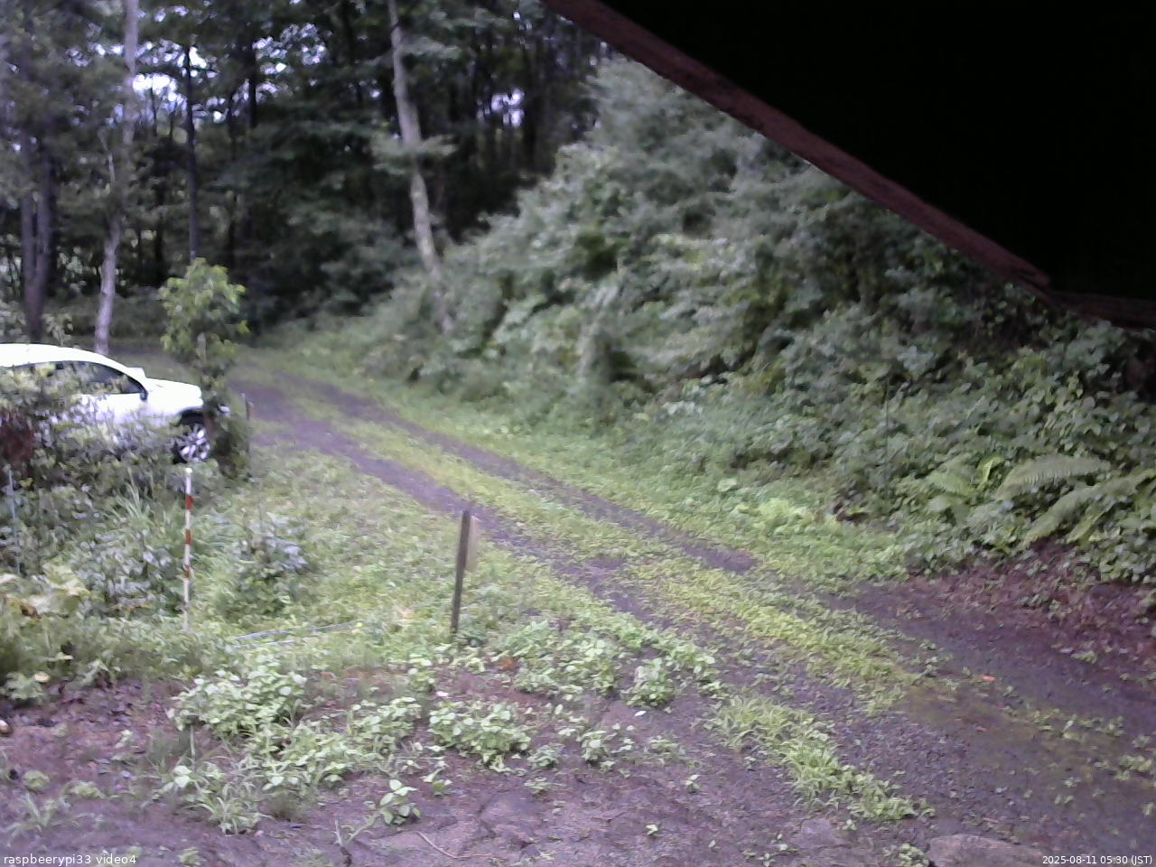 長野県菅平高原 ゆたか山荘 東側(坂下) 2025/08/11 05:30