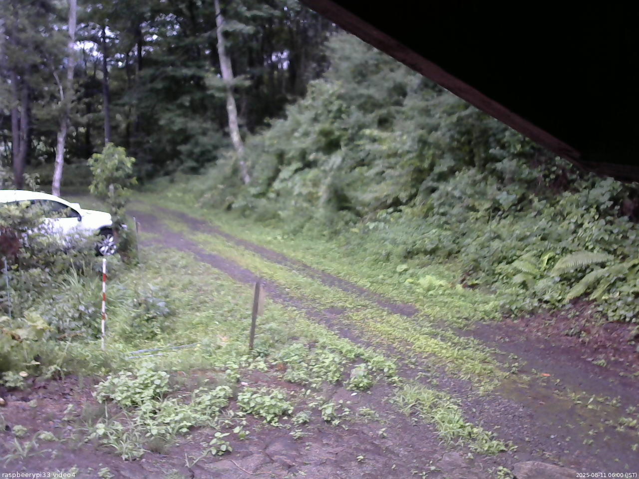長野県菅平高原 ゆたか山荘 東側(坂下) 2025/08/11 06:00