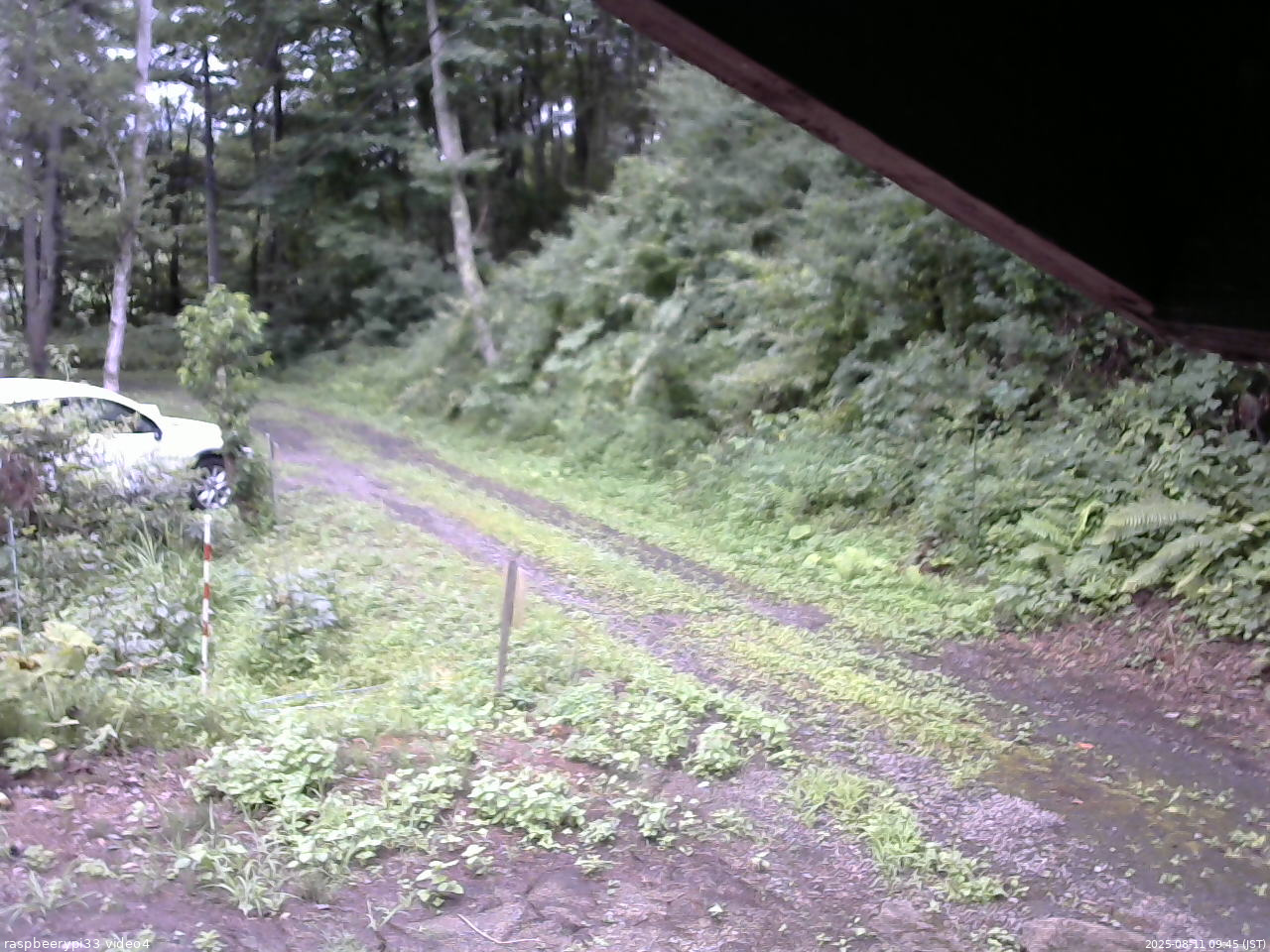 長野県菅平高原 ゆたか山荘 東側(坂下) 2025/08/11 09:45