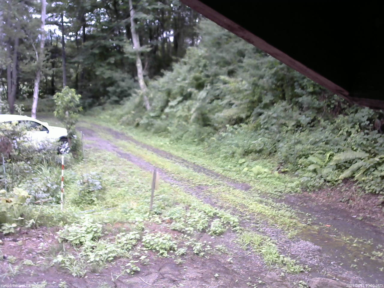 長野県菅平高原 ゆたか山荘 東側(坂下) 2025/08/11 10:00