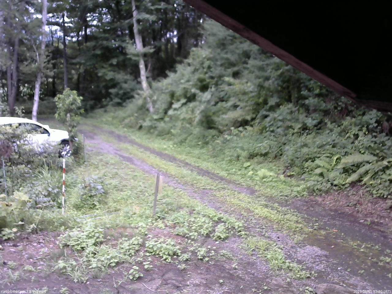 長野県菅平高原 ゆたか山荘 東側(坂下) 2025/08/11 12:30