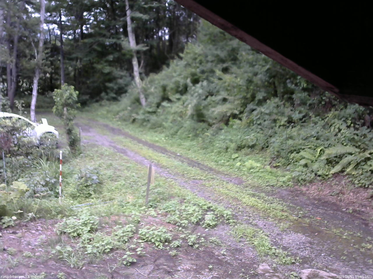 長野県菅平高原 ゆたか山荘 東側(坂下) 2025/08/11 15:45