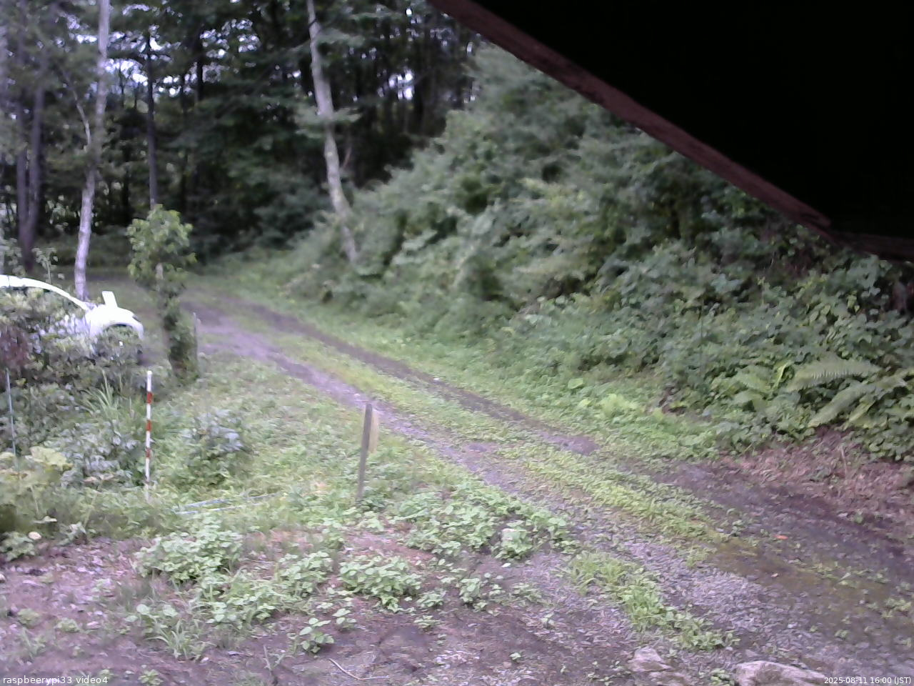 長野県菅平高原 ゆたか山荘 東側(坂下) 2025/08/11 16:00