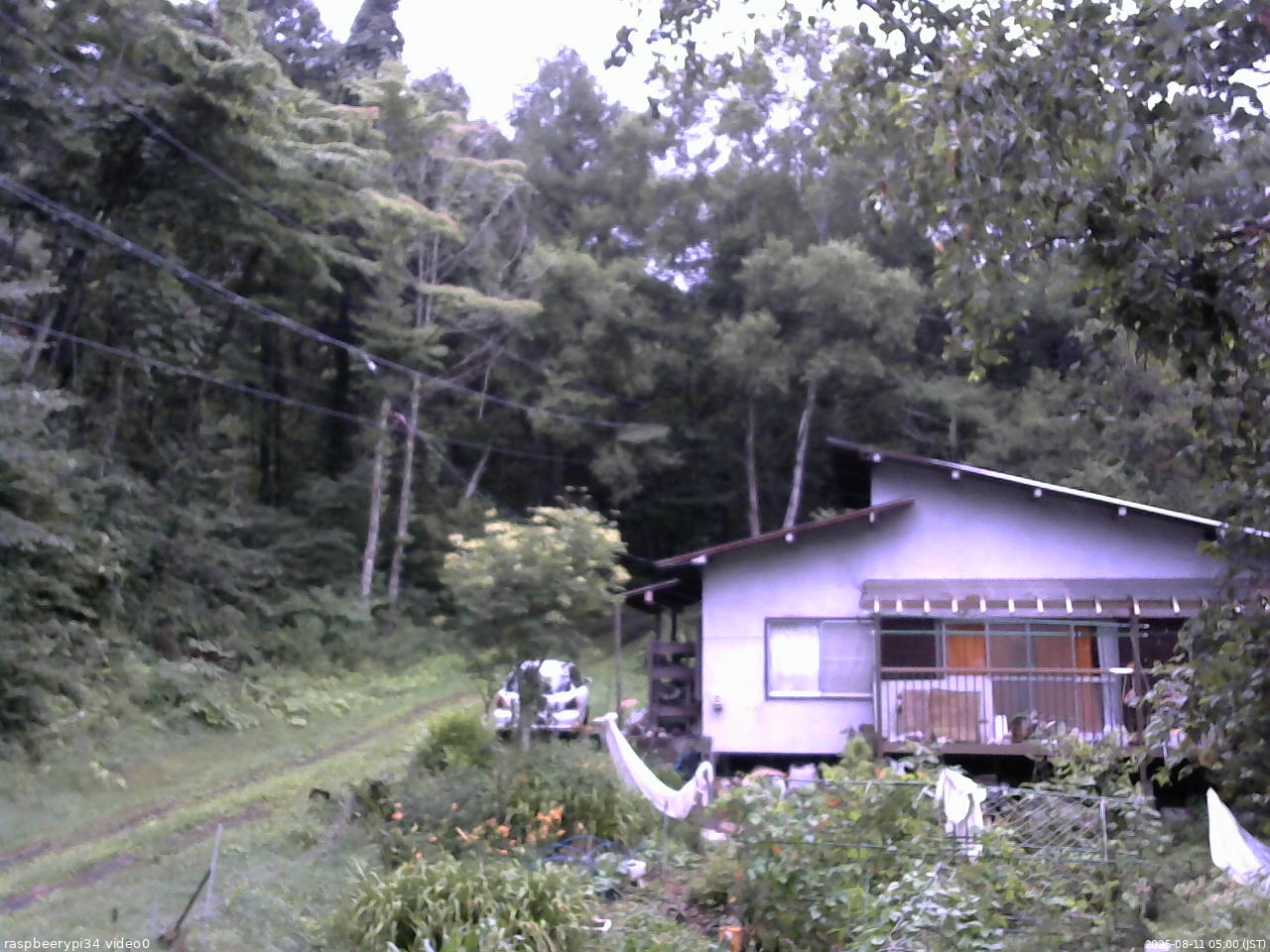 長野県菅平高原 ゆたか山荘 西側(坂上) 2025/08/11 05:00