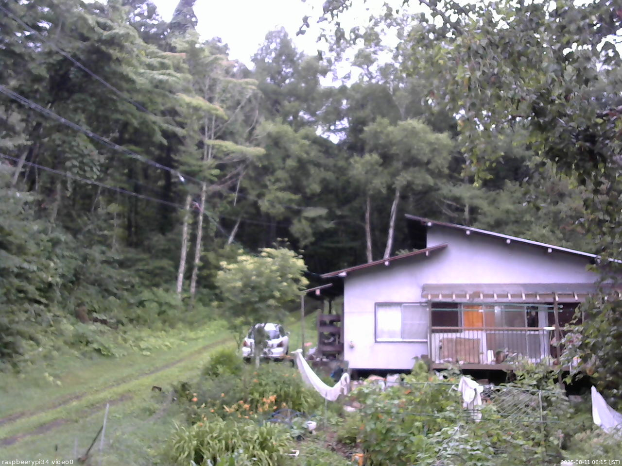 長野県菅平高原 ゆたか山荘 西側(坂上) 2025/08/11 06:15