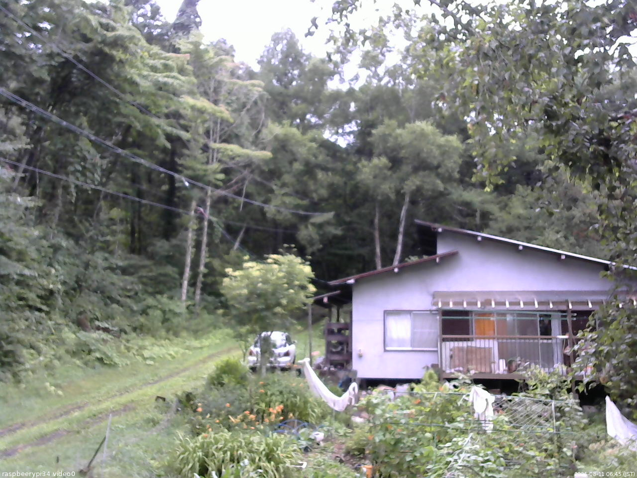 長野県菅平高原 ゆたか山荘 西側(坂上) 2025/08/11 06:45
