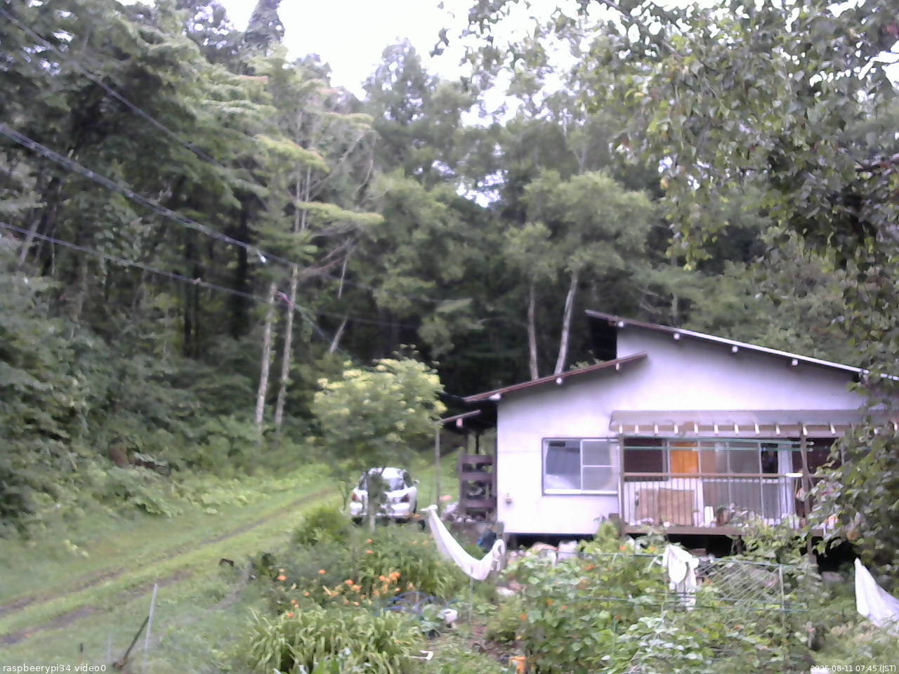 長野県菅平高原 ゆたか山荘 西側(坂上) 2025/08/11 07:45