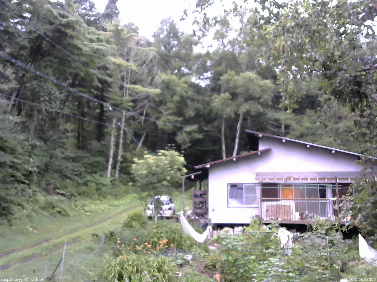 長野県菅平高原 ゆたか山荘 西側(坂上) 2025/08/11 08:00