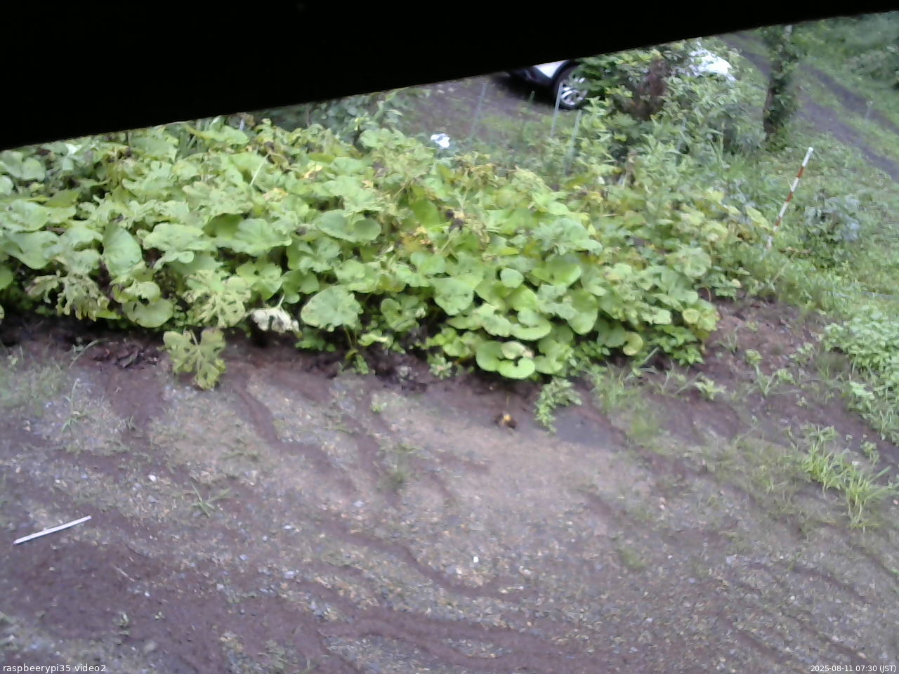 長野県菅平高原 ゆたか山荘 駐車場 2025/08/11 07:30