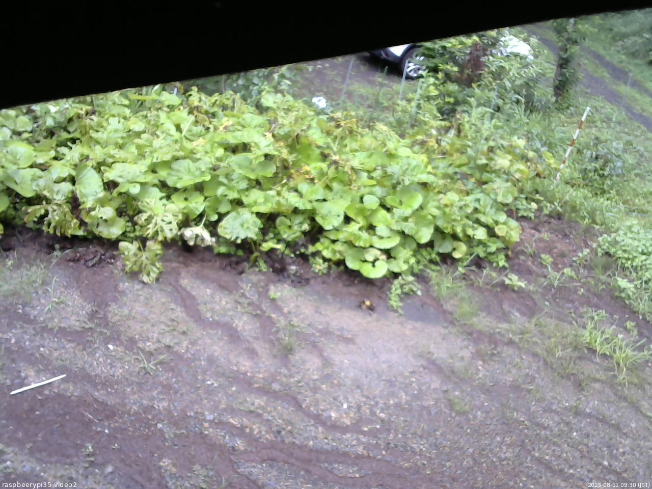 長野県菅平高原 ゆたか山荘 駐車場 2025/08/11 09:30