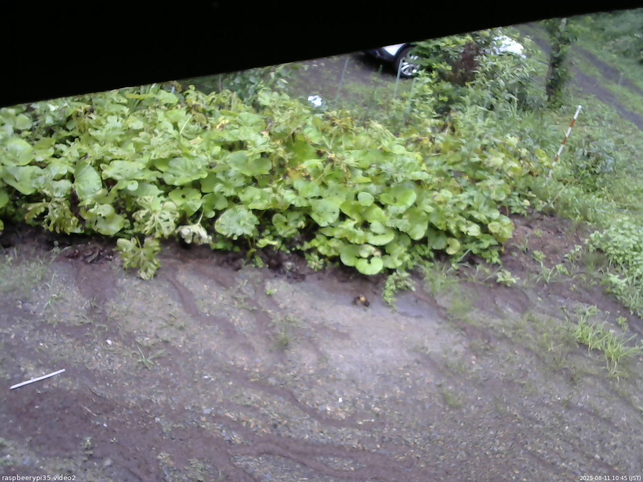 長野県菅平高原 ゆたか山荘 駐車場 2025/08/11 10:45