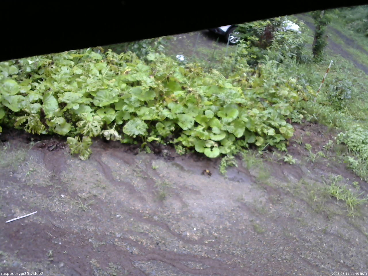 長野県菅平高原 ゆたか山荘 駐車場 2025/08/11 11:45