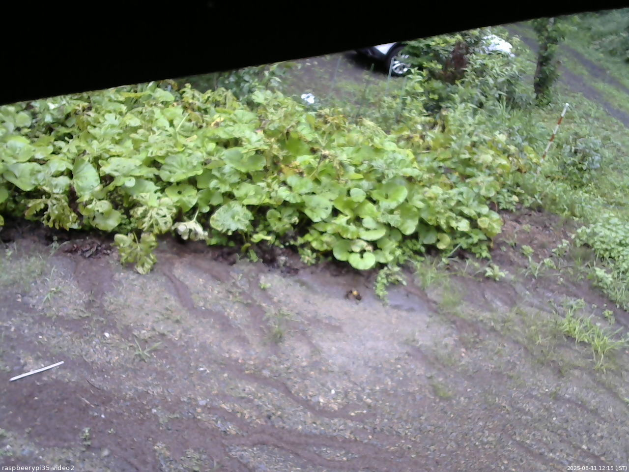 長野県菅平高原 ゆたか山荘 駐車場 2025/08/11 12:15