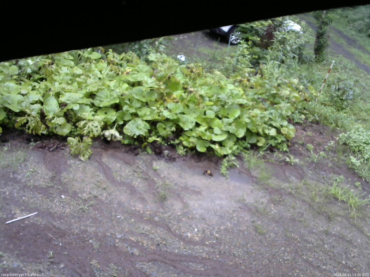 長野県菅平高原 ゆたか山荘 駐車場 2025/08/11 13:30