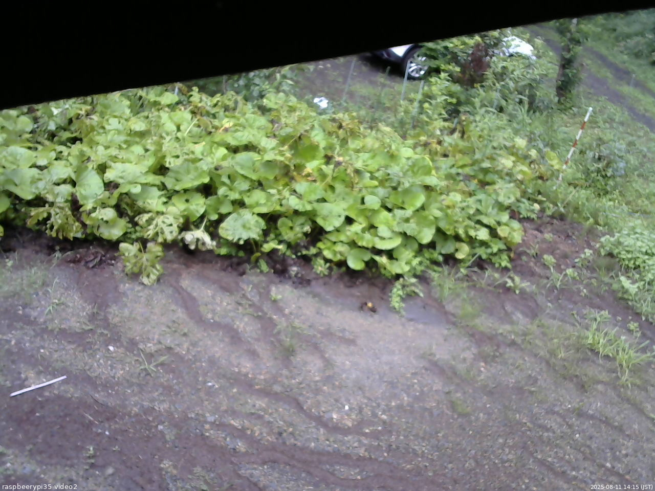 長野県菅平高原 ゆたか山荘 駐車場 2025/08/11 14:15